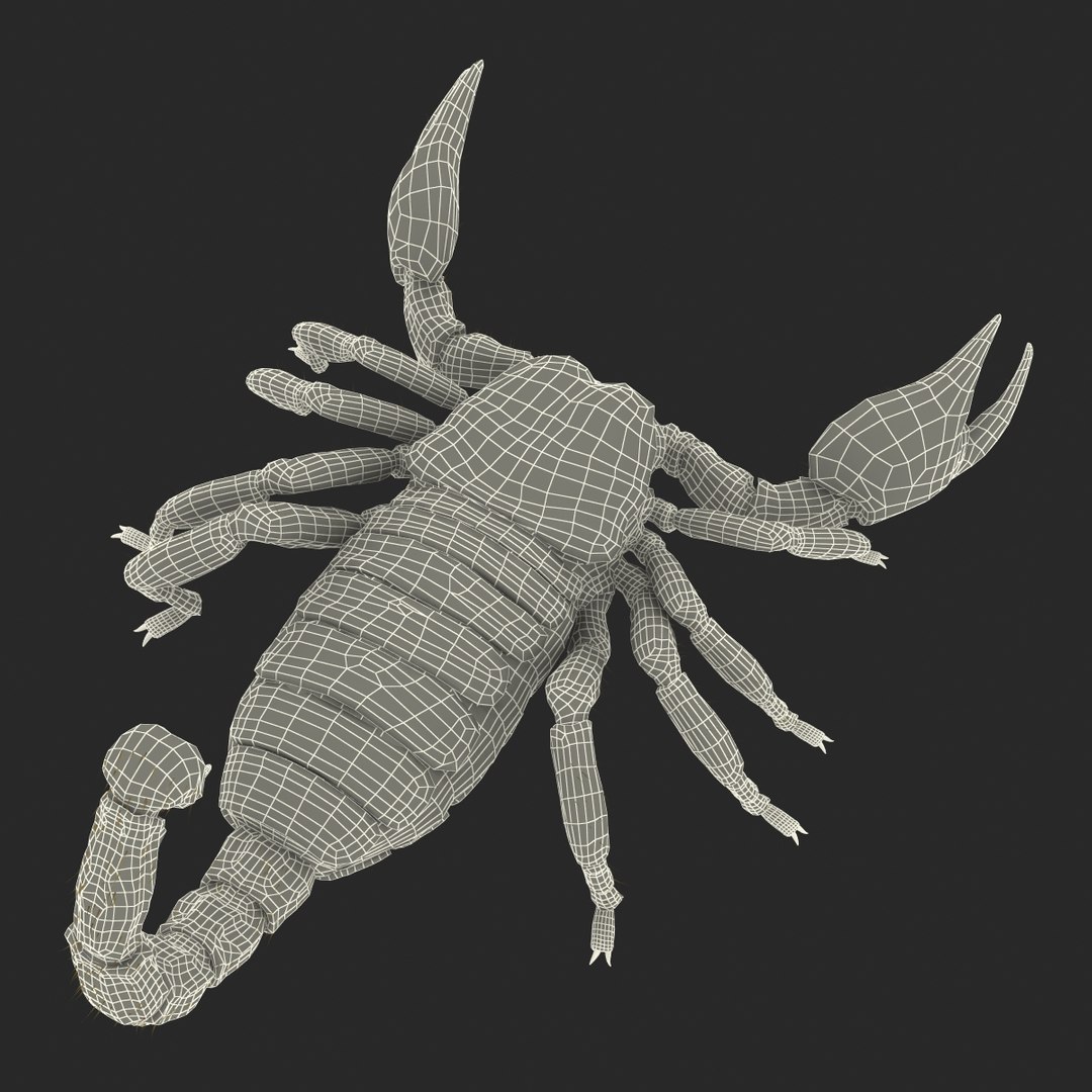 3ds scorpion https://p.turbosquid.com/ts-thumb/XJ/cjZn72/CbnOEkTa/scorpion3dmodel34/jpg/1456911991/1920x1080/fit_q87/27c3c828e782cfb55b2c7add0c212416aa5cfae1/scorpion3dmodel34.jpg