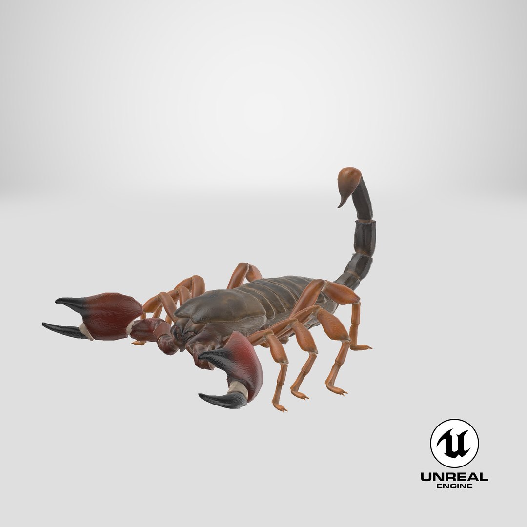 3ds scorpion https://p.turbosquid.com/ts-thumb/XJ/cjZn72/Fw/stemcell_unreal_render/png/1657643303/1920x1080/fit_q87/0fe66d1dd30be84041b5ad73d23a42195cc4f947/stemcell_unreal_render.jpg