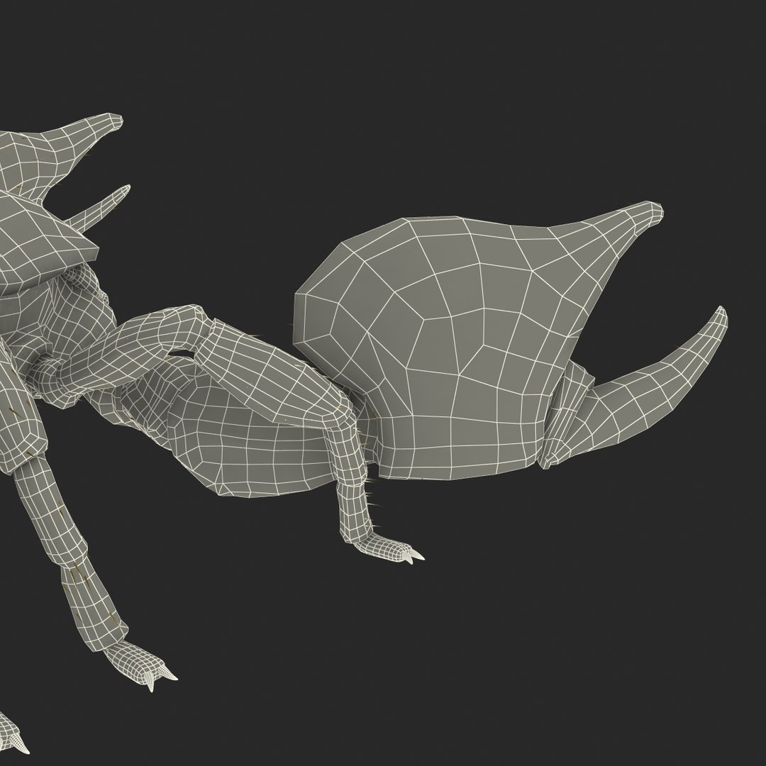 3ds scorpion https://p.turbosquid.com/ts-thumb/XJ/cjZn72/ercWBY5a/scorpion3dmodel41/jpg/1456911992/1920x1080/fit_q87/7fcacefc652813a7668d3e20530d31d94d7a4efe/scorpion3dmodel41.jpg