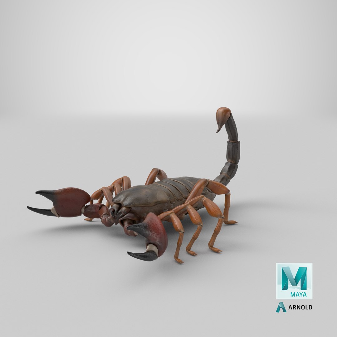 3ds scorpion https://p.turbosquid.com/ts-thumb/XJ/cjZn72/zH/stemcell_maya_arnold_render/png/1657643310/1920x1080/fit_q87/9b18688b54ba781f70e8eb7e91d0ae82458a7865/stemcell_maya_arnold_render.jpg