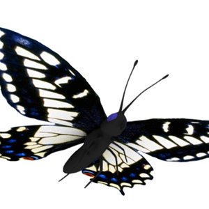 lightwave butterfly mapped wings