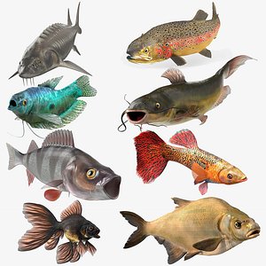 Freshwater Fish Rigged for Cinema 4D Collection 3