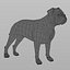 Bordeaux Dog