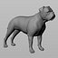 Bordeaux Dog