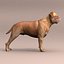 Bordeaux Dog