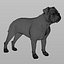 Bordeaux Dog