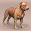 Bordeaux Dog
