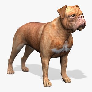 bordeaux dog 3d model