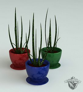 3ds max decorative aloe plant