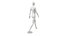 Weibliches Mannequin
