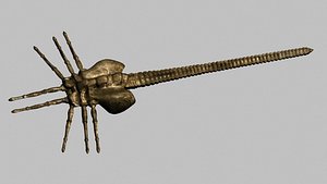Facehugger