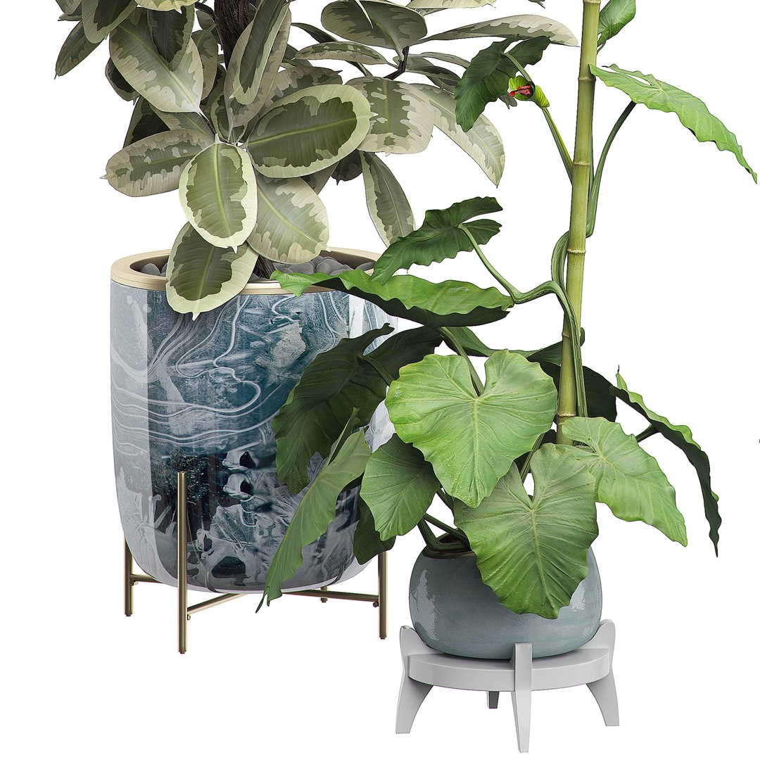 3D potted plants set 16 https://p.turbosquid.com/ts-thumb/XK/76d1Ou/A3QXL00m/flowerpack130004/jpg/1589641420/1920x1080/fit_q87/43a12c23eaa9e20a1b5f7f536fc2dfa4abf4b3e1/flowerpack130004.jpg