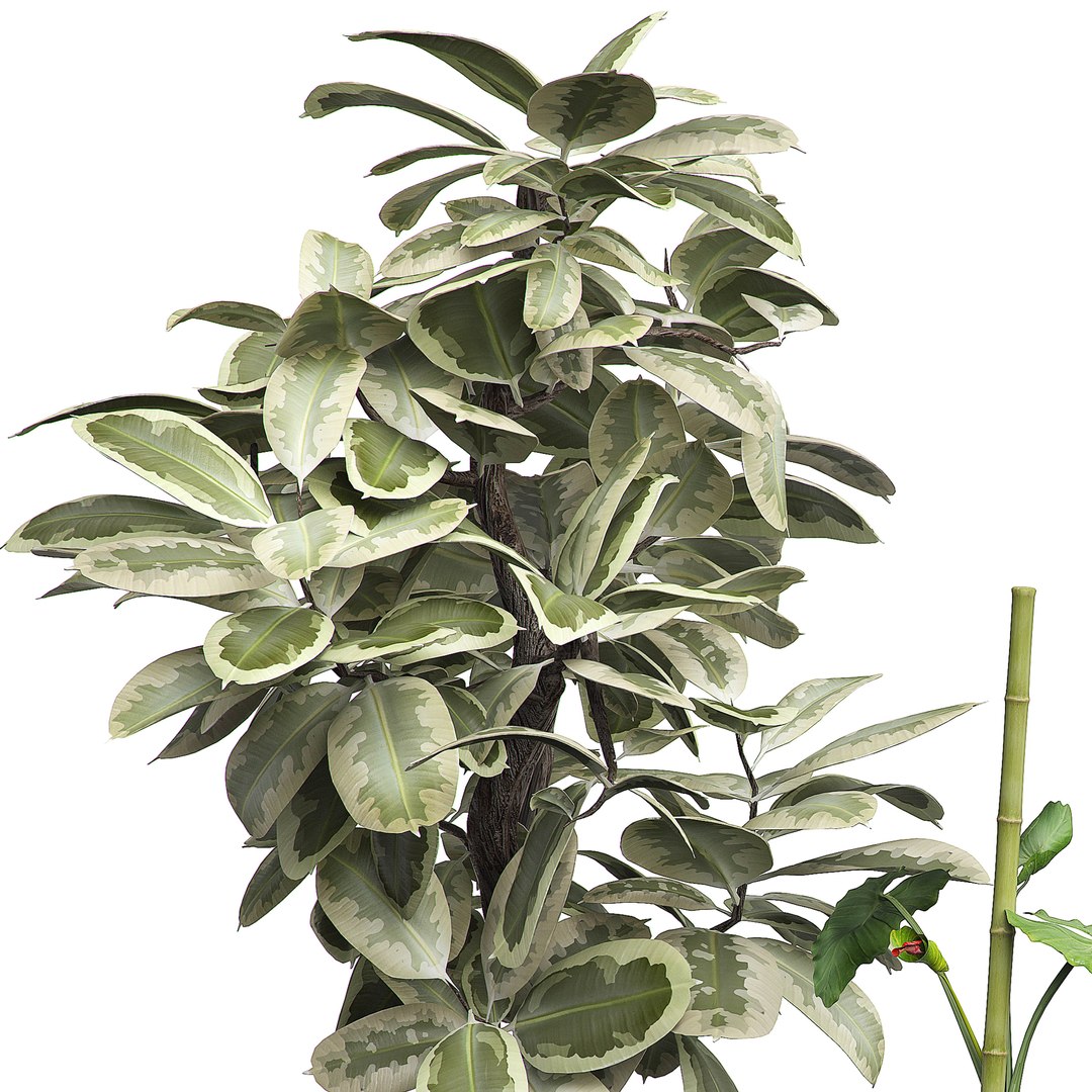 3D potted plants set 16 https://p.turbosquid.com/ts-thumb/XK/76d1Ou/bauHQHTN/flowerpack130005/jpg/1589641439/1920x1080/fit_q87/0e6658eb31ccd9a4699d5a8e25767fe4ebfd13ef/flowerpack130005.jpg