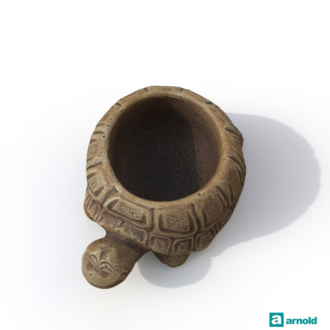 turtle photogrammetry renders model https://p.turbosquid.com/ts-thumb/XK/Acx1Jo/2UrOzq7N/arnoldturtle01_up/jpg/1506368481/1920x1080/fit_q87/29d2ef8d8c6c18e12dd8fbcb92f90f5d638836c4/arnoldturtle01_up.jpg