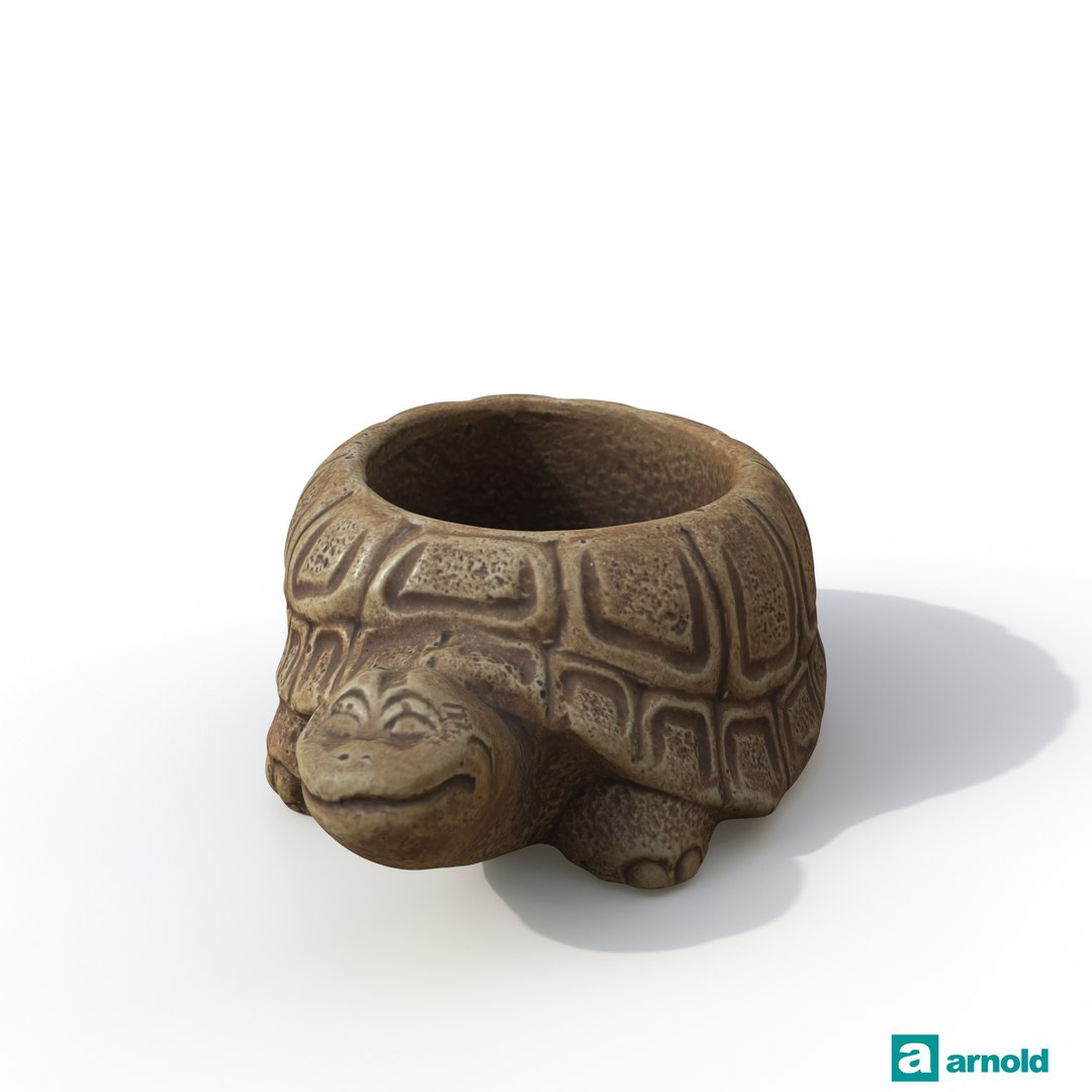 turtle photogrammetry renders model https://p.turbosquid.com/ts-thumb/XK/Acx1Jo/2pVPbshd/arnoldturtle01_0000/jpg/1506368480/1920x1080/fit_q87/87bdc8b5e3b7e64430ff8e8e4284b29afe08308d/arnoldturtle01_0000.jpg