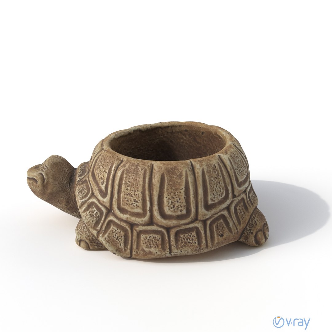turtle photogrammetry renders model https://p.turbosquid.com/ts-thumb/XK/Acx1Jo/9YhqFzfi/turtle_turn_6/jpg/1506368277/1920x1080/fit_q87/4f1fdfb2d5e73f6958291aba7ad64a046bb966a9/turtle_turn_6.jpg