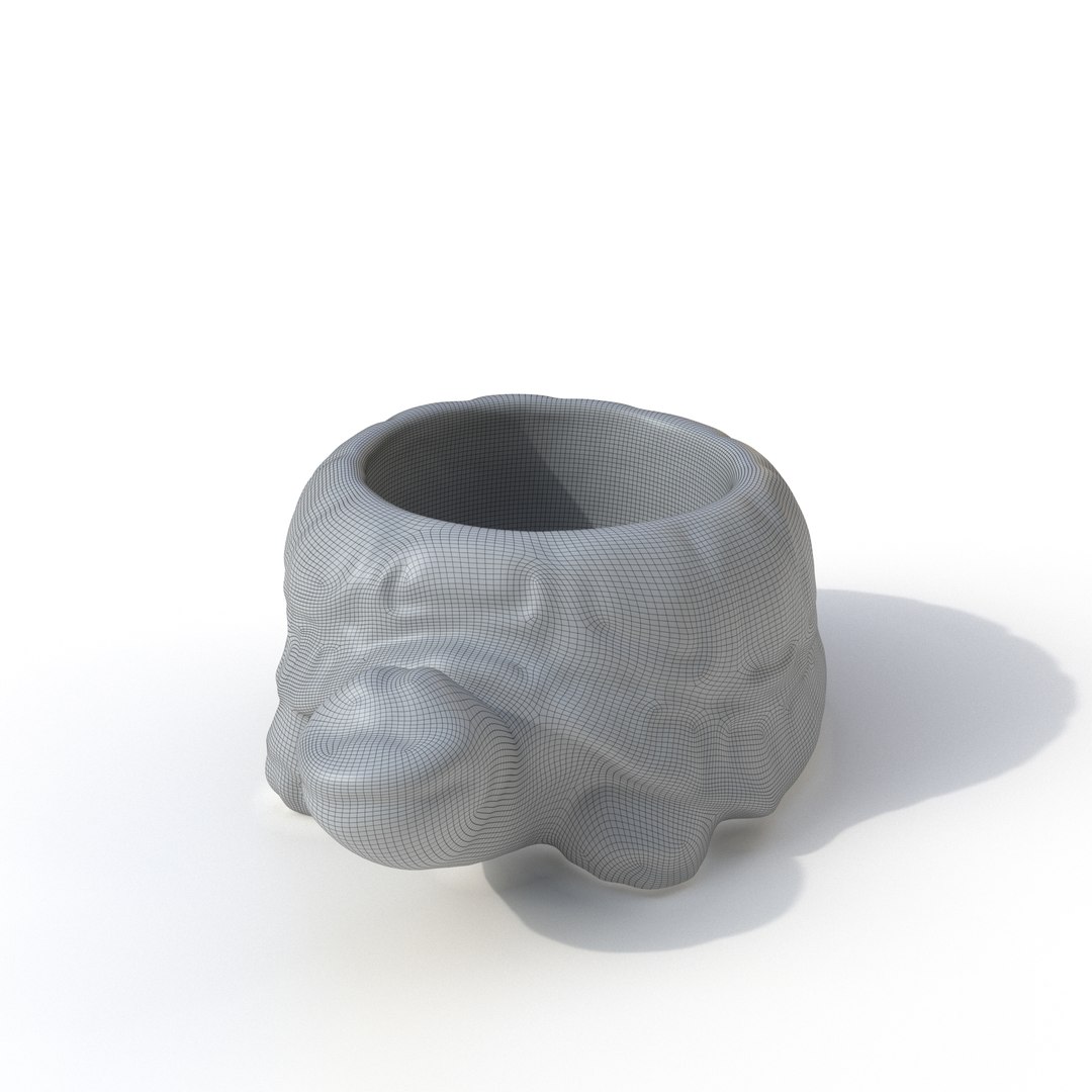 turtle photogrammetry renders model https://p.turbosquid.com/ts-thumb/XK/Acx1Jo/Am0nXM4G/cor_renderwire_0000/jpg/1506368829/1920x1080/fit_q87/4edb0ec1e6d74c686dc6c51b84ad1964d6f36b94/cor_renderwire_0000.jpg