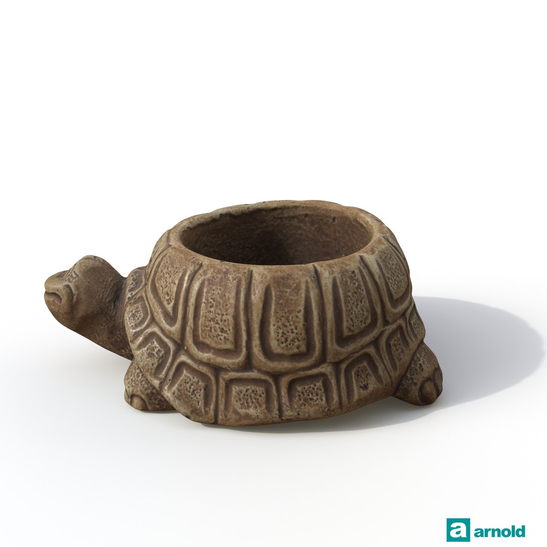 turtle photogrammetry renders model https://p.turbosquid.com/ts-thumb/XK/Acx1Jo/UJPUSOg3/arnoldturtle01_0005/jpg/1506368481/1920x1080/fit_q87/67633e2afbb545c60091c4248e7d290856f251e8/arnoldturtle01_0005.jpg