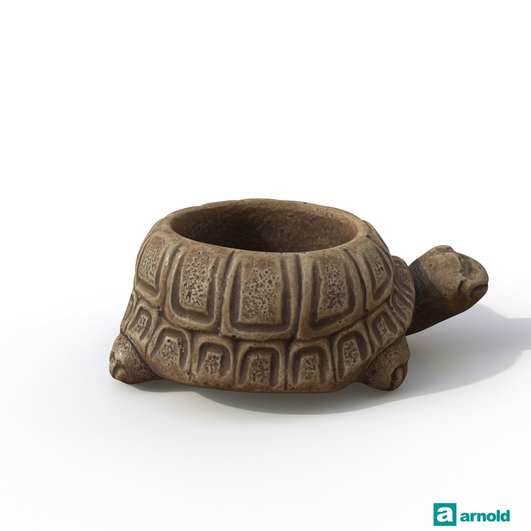 turtle photogrammetry renders model https://p.turbosquid.com/ts-thumb/XK/Acx1Jo/WROnCevZ/arnoldturtle01_0017/jpg/1506368481/1920x1080/fit_q87/f3e7f4d7142a6f2d7e5a6ebc014379c7883cc9bb/arnoldturtle01_0017.jpg