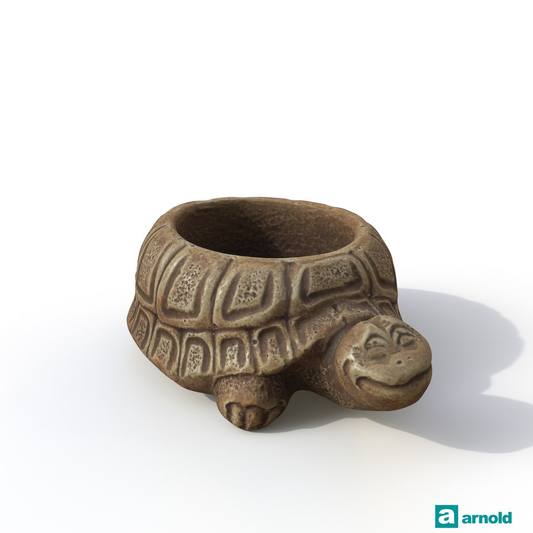 turtle photogrammetry renders model https://p.turbosquid.com/ts-thumb/XK/Acx1Jo/WefJfNii/arnoldturtle01_0021/jpg/1506368481/1920x1080/fit_q87/af6f74ef0bbe86478ba88ddb1cce874a68ab7611/arnoldturtle01_0021.jpg