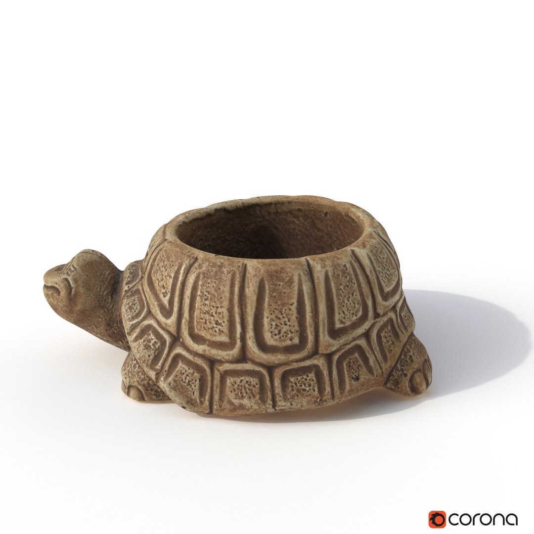 turtle photogrammetry renders model https://p.turbosquid.com/ts-thumb/XK/Acx1Jo/cdW7PvRR/cor_render_0005/jpg/1506368385/1920x1080/fit_q87/fb84c1e4bc5f1985731d7deb7df51c4de16fee46/cor_render_0005.jpg
