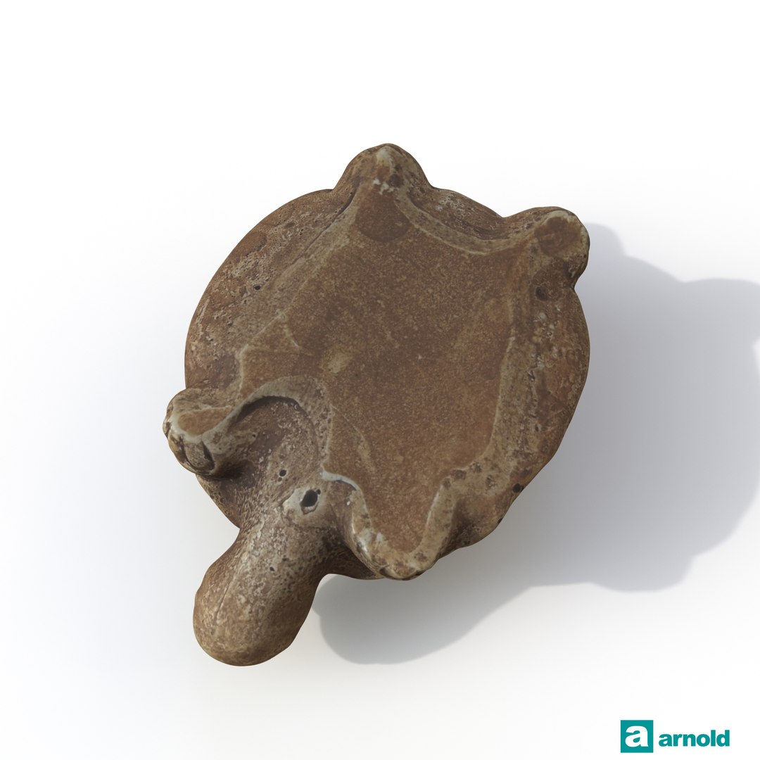 turtle photogrammetry renders model https://p.turbosquid.com/ts-thumb/XK/Acx1Jo/jH9bWVhk/arnoldturtle01_down/jpg/1506368481/1920x1080/fit_q87/a4e221e2c490d96b4f2c87f8951a537ba7f864d9/arnoldturtle01_down.jpg