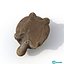 Statuette Turtle