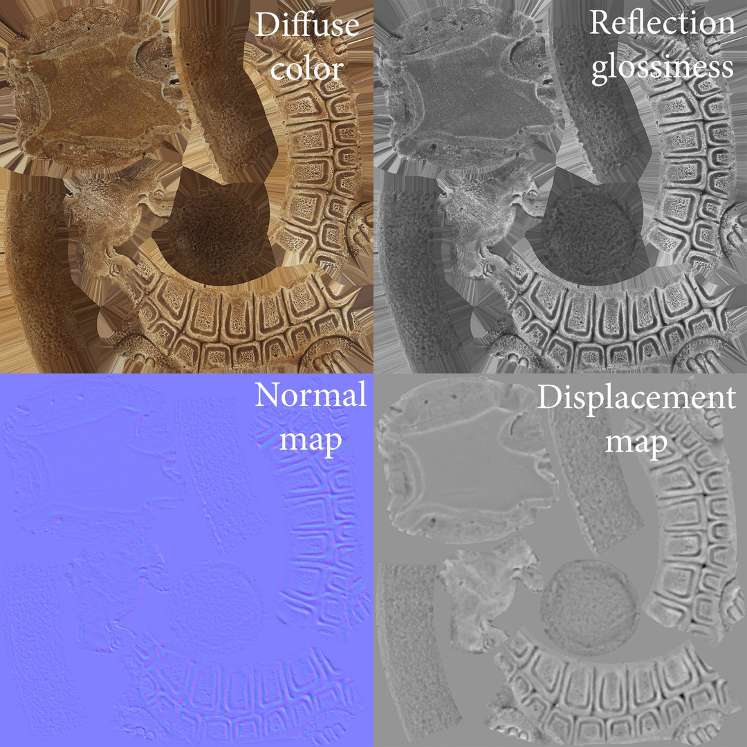 turtle photogrammetry renders model https://p.turbosquid.com/ts-thumb/XK/Acx1Jo/o2bItfBd/render_tex/jpg/1506368579/1920x1080/fit_q87/c7e096af14a178ec1b7116a23a32aaaae88720ad/render_tex.jpg