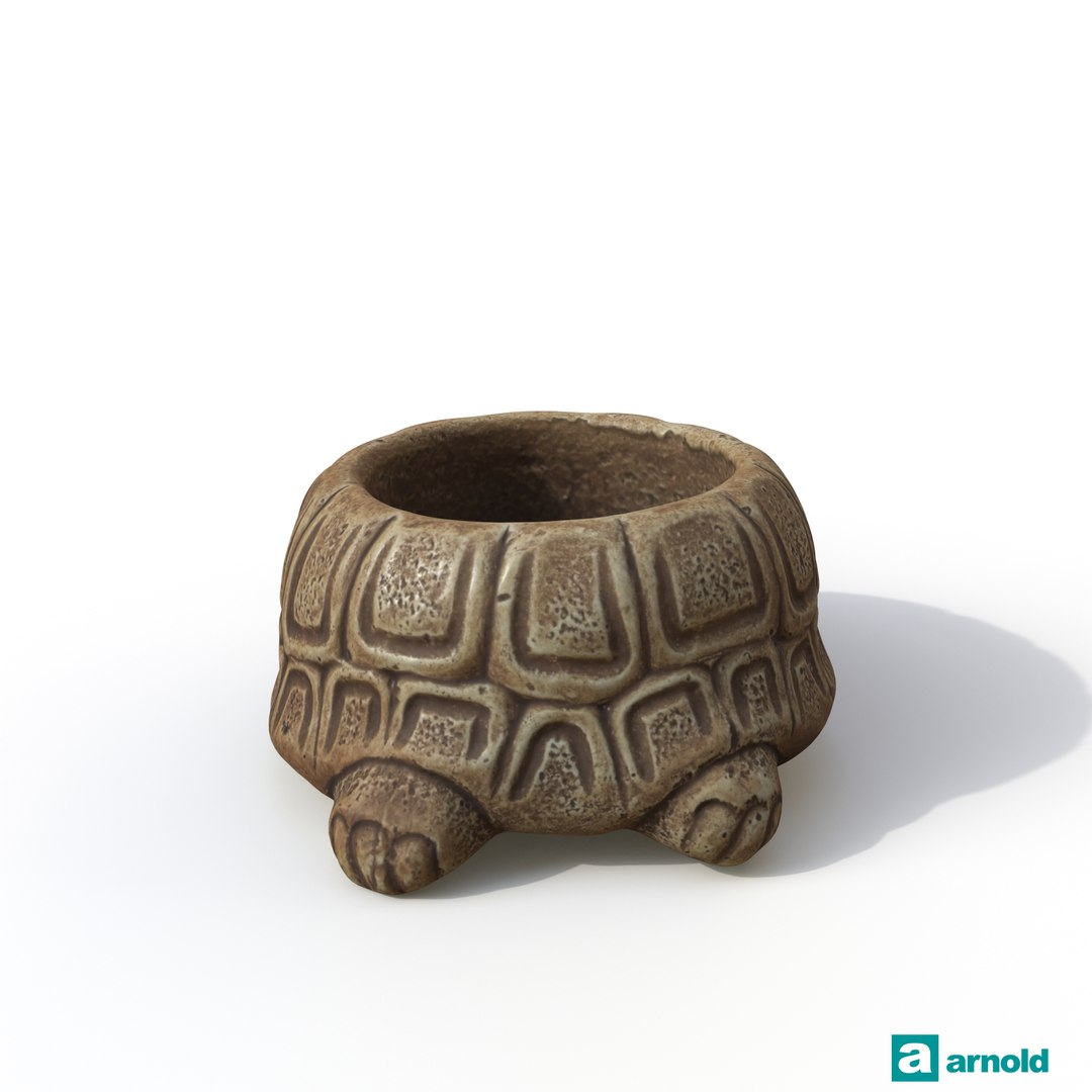 turtle photogrammetry renders model https://p.turbosquid.com/ts-thumb/XK/Acx1Jo/wpwbkWyI/arnoldturtle01_0011/jpg/1506368481/1920x1080/fit_q87/3a7348f4e8c1ac5fa8ee64da00fbcae89f8f6ee7/arnoldturtle01_0011.jpg