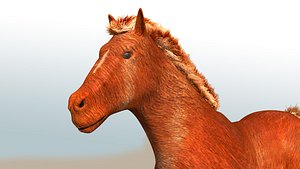 3D model horse walking