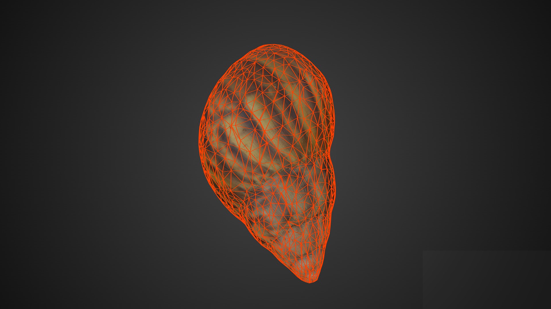 3D Shell https://p.turbosquid.com/ts-thumb/XK/GT8oUg/BN/merror2911920x108045wireframebackgroundlogo/png/1675927036/1920x1080/fit_q87/9a5c34d7c9d4f4376bbbbb5a997d05279cd3cce3/merror2911920x108045wireframebackgroundlogo.jpg