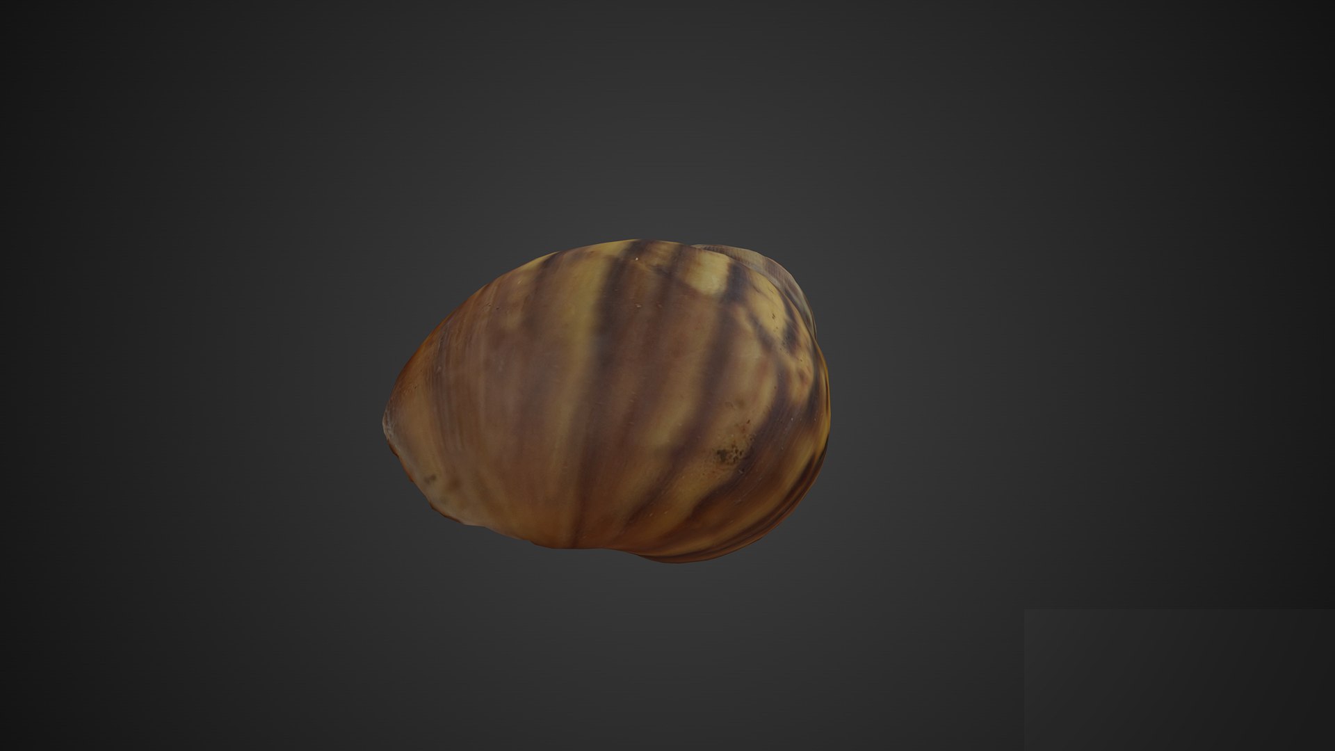 3D Shell https://p.turbosquid.com/ts-thumb/XK/GT8oUg/n9/merror2911920x1080270backgroundlogo/png/1675927042/1920x1080/fit_q87/4a25a1fa60c076c3f79b97c57a30e6ffb70e3a8c/merror2911920x1080270backgroundlogo.jpg