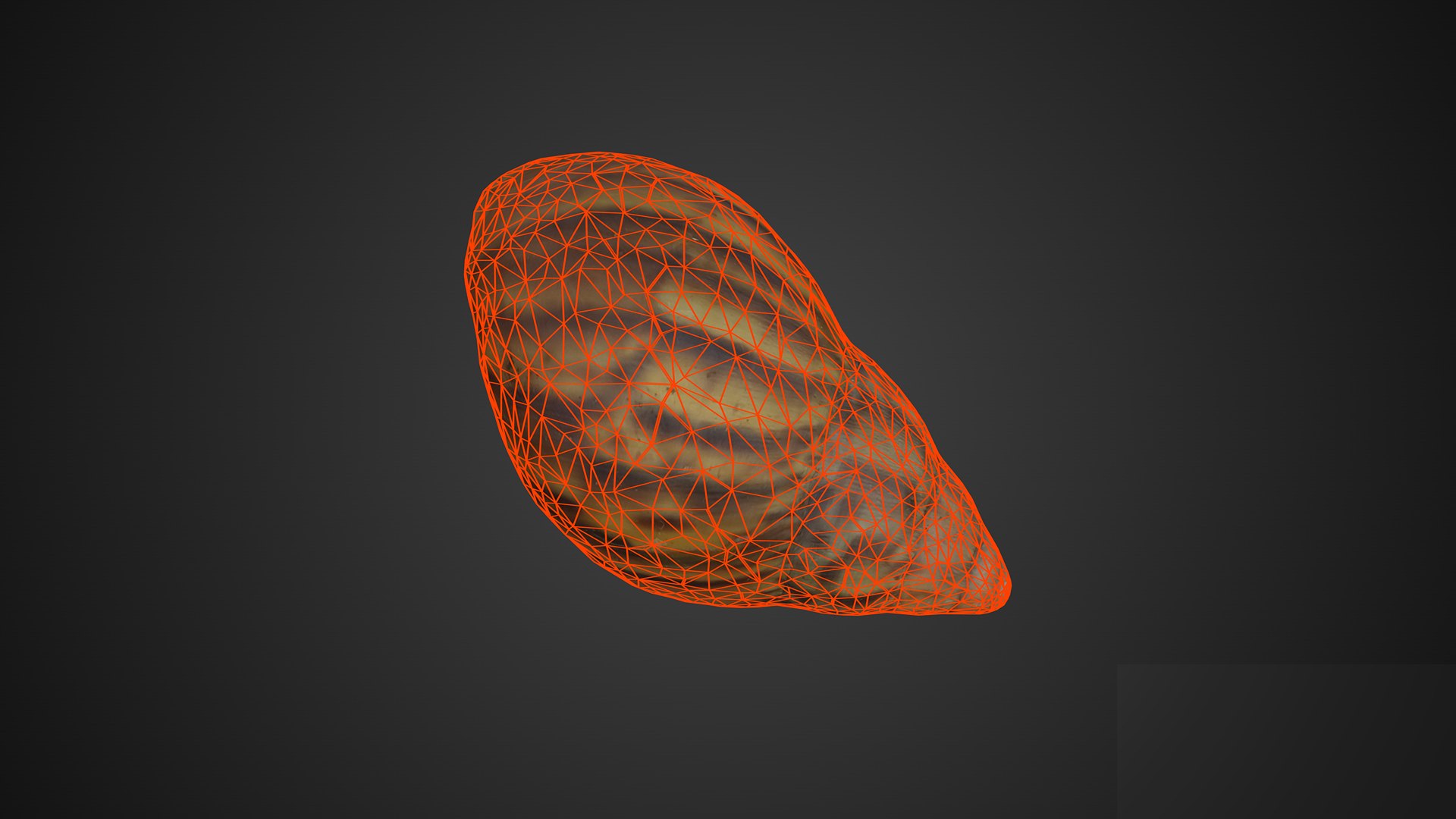 3D Shell https://p.turbosquid.com/ts-thumb/XK/GT8oUg/q5/merror2911920x10800wireframebackgroundlogo/png/1675927037/1920x1080/fit_q87/efe05f535b95ac93e68d2c06b77e3153b6848d6d/merror2911920x10800wireframebackgroundlogo.jpg