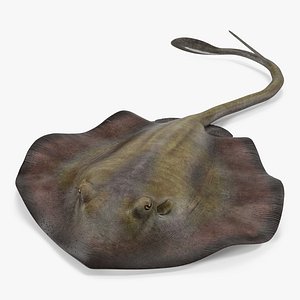 stingray pose 3 3d 3ds