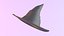 Wizard Hat