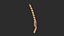 Hand Saw