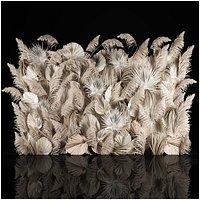 Vertical garden wall made of dry palm branches and pampas grass