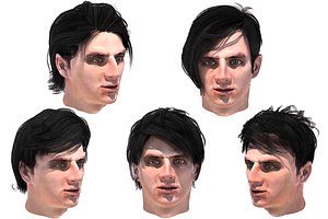 3D male hairs 5 species model