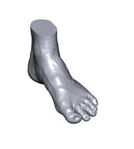 scan foot 3D