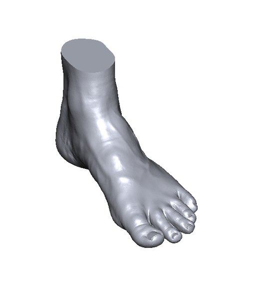 scan foot 3D