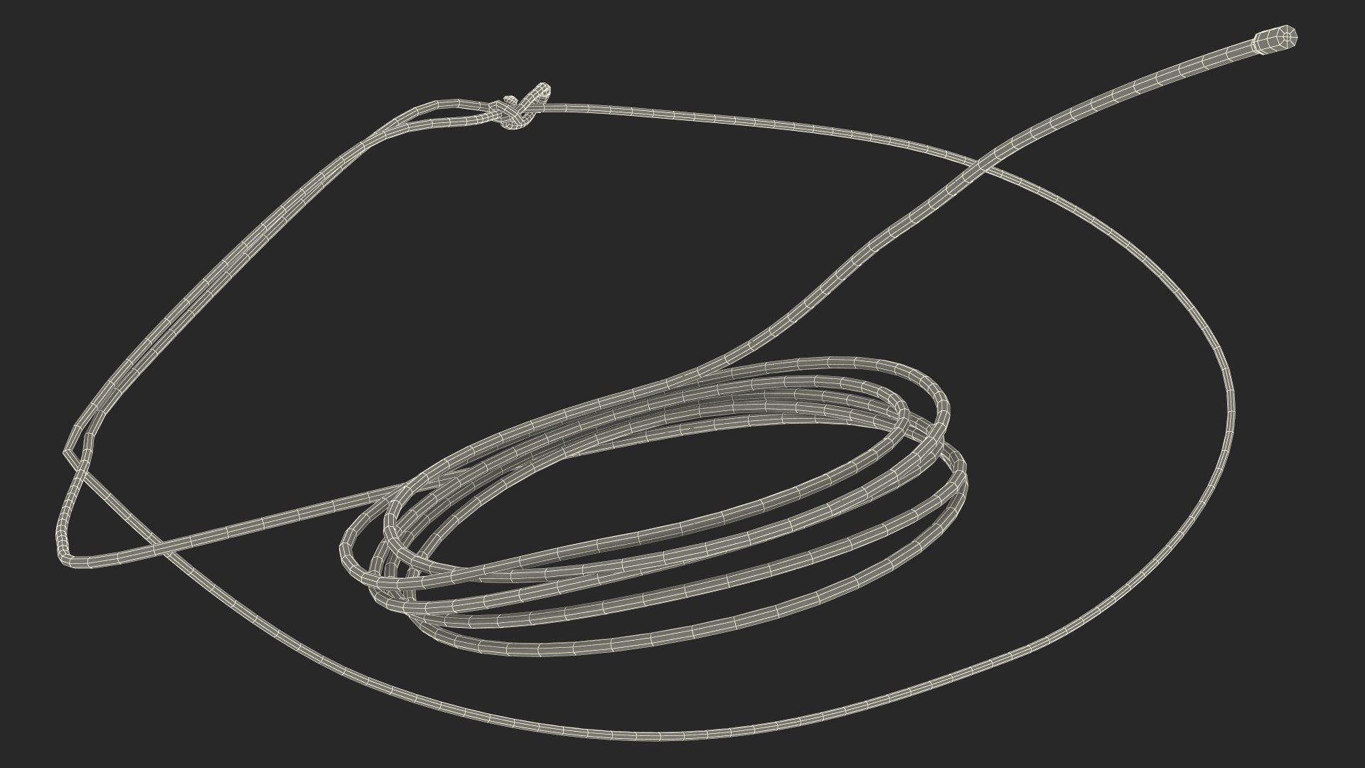 Western Lasso Rope Dynamic Position 3D - TurboSquid 2162341