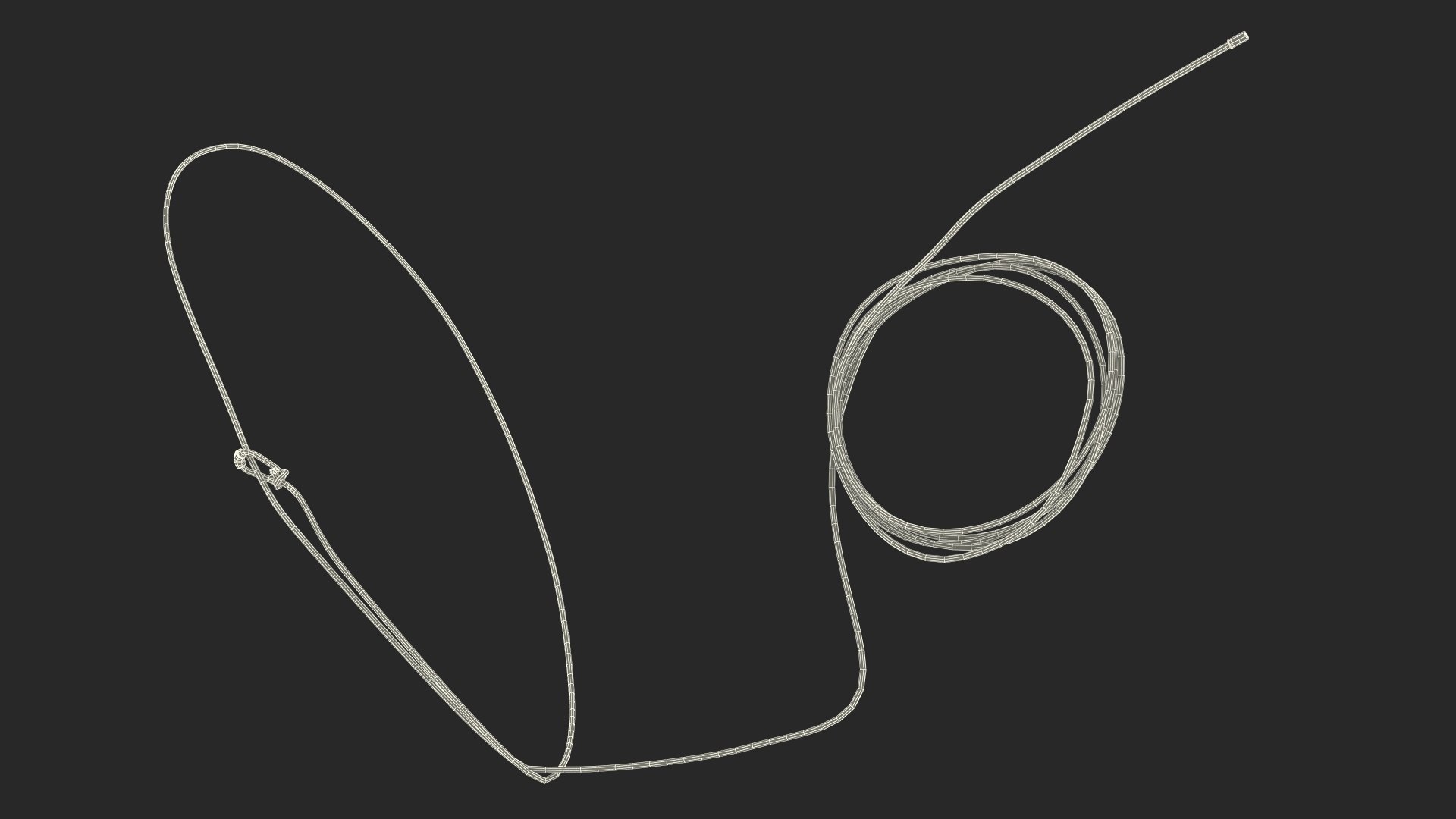 Western Lasso Rope Dynamic Position 3D - TurboSquid 2162341
