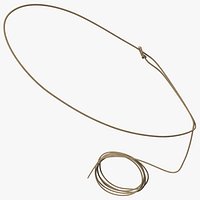 Western Lasso Rope Dynamic Position