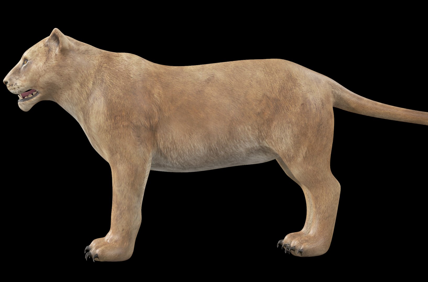 3D model Lioness Rig model https://p.turbosquid.com/ts-thumb/XK/tpbMom/45/render_snap_3/png/1640639691/1920x1080/fit_q87/a3cfe8c2c39f2711506634b6c79face0984412c7/render_snap_3.jpg