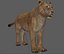 Lioness Rig model