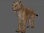 Lioness Rig model