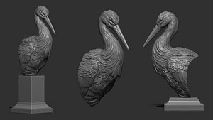 3D Stork bust model