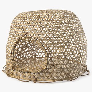 Wicker Fish Trap