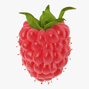 raspberry 3 fur 3d max