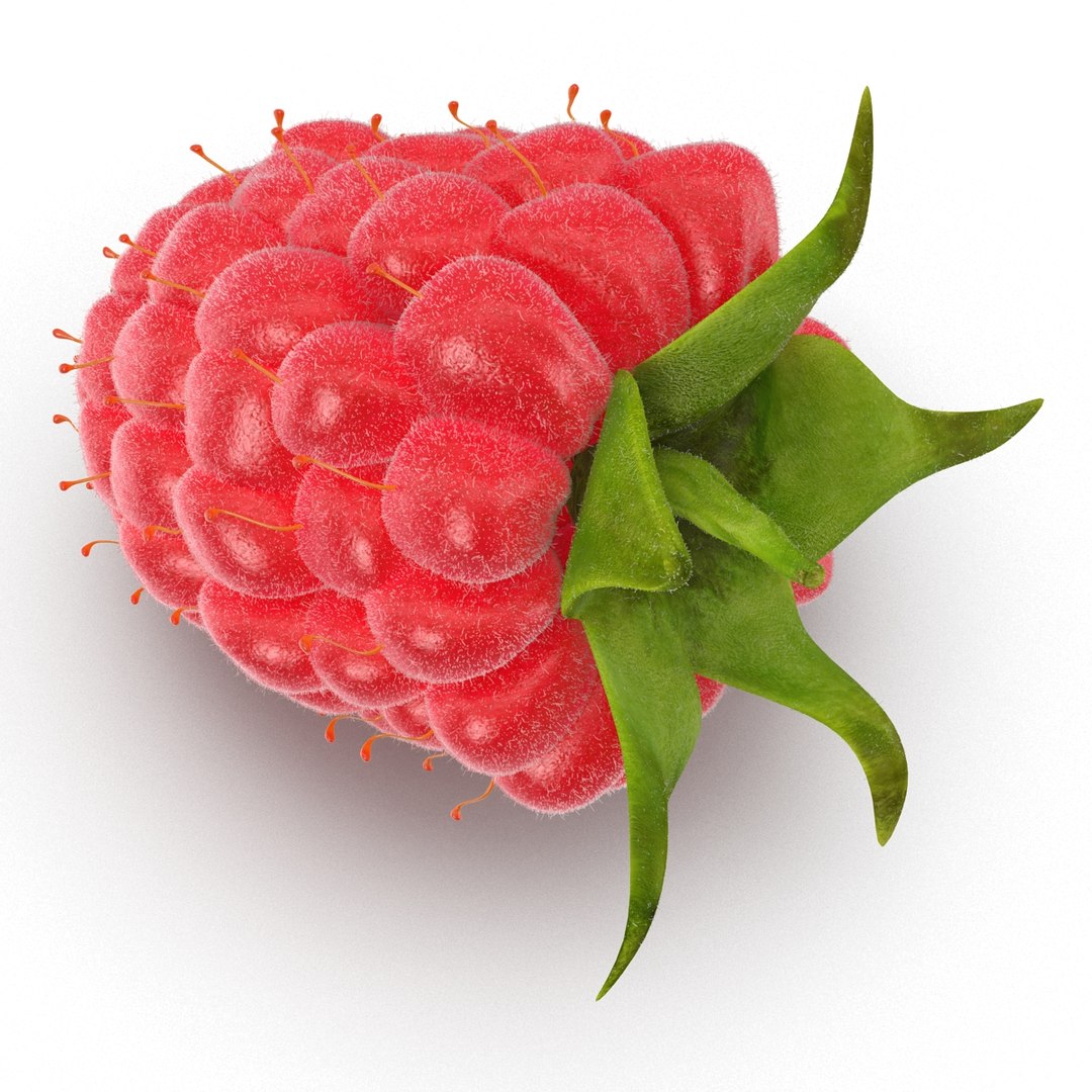 Raspberry 3 Fur 3d Max